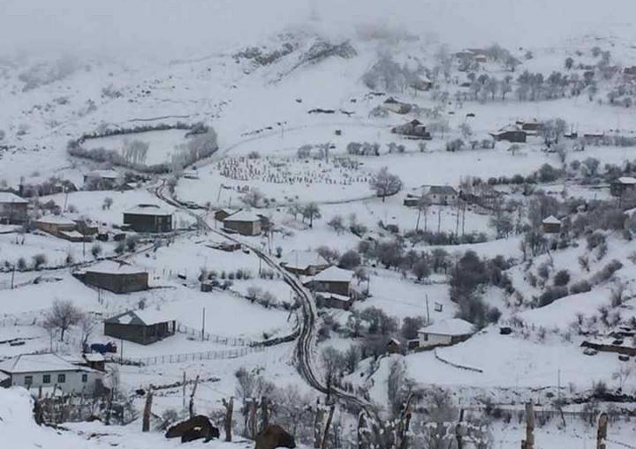 Снег оставил без электричества ряд сел в Лерикском районе