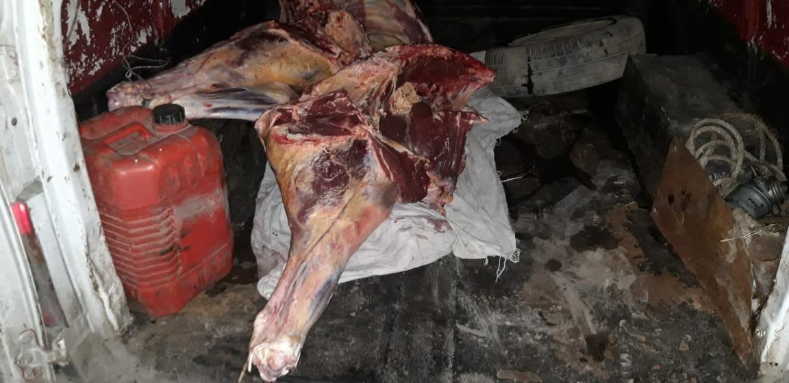 В Азербайджане обнаружено непригодное к использованию мясо