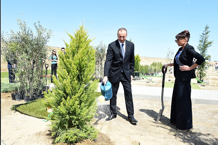 Президент Ильхам Алиев принял участие в акции по посадке деревьев