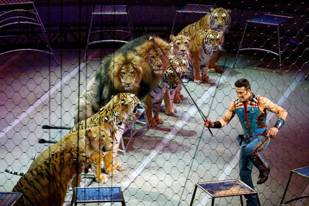 В Ингушетии запретили цирки