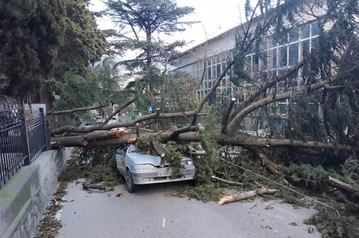 Сильный ветер привел к разрушениям в западных регионах Азербайджана