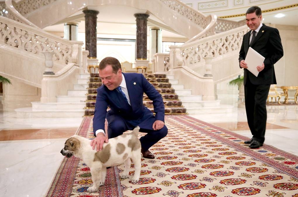 Бердымухамедов подарил Медведеву щенка алабая - ФОТО