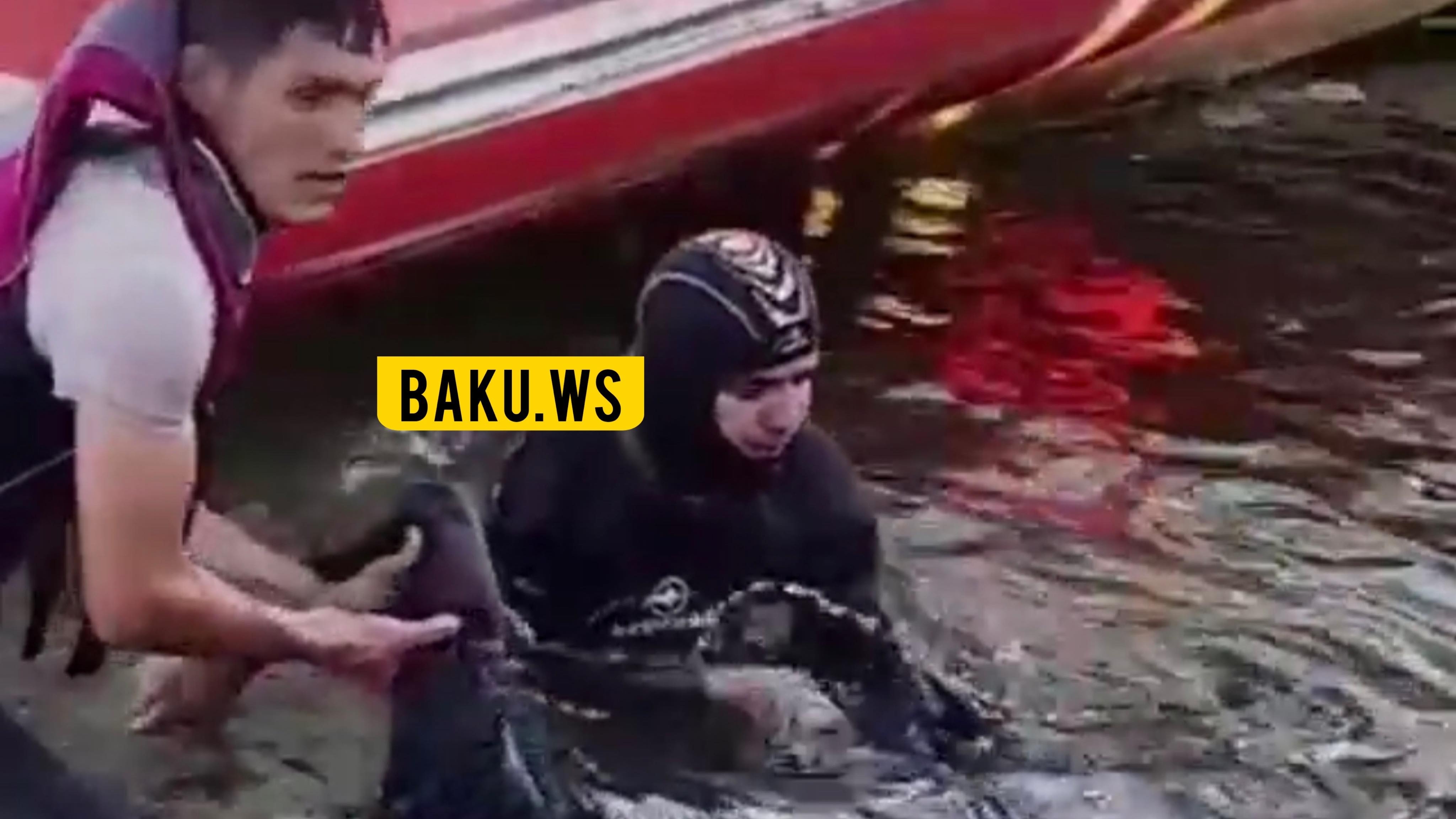 На бакинском бульваре утонул 22-летний парень, снимавший видео для "Тик-ток"
