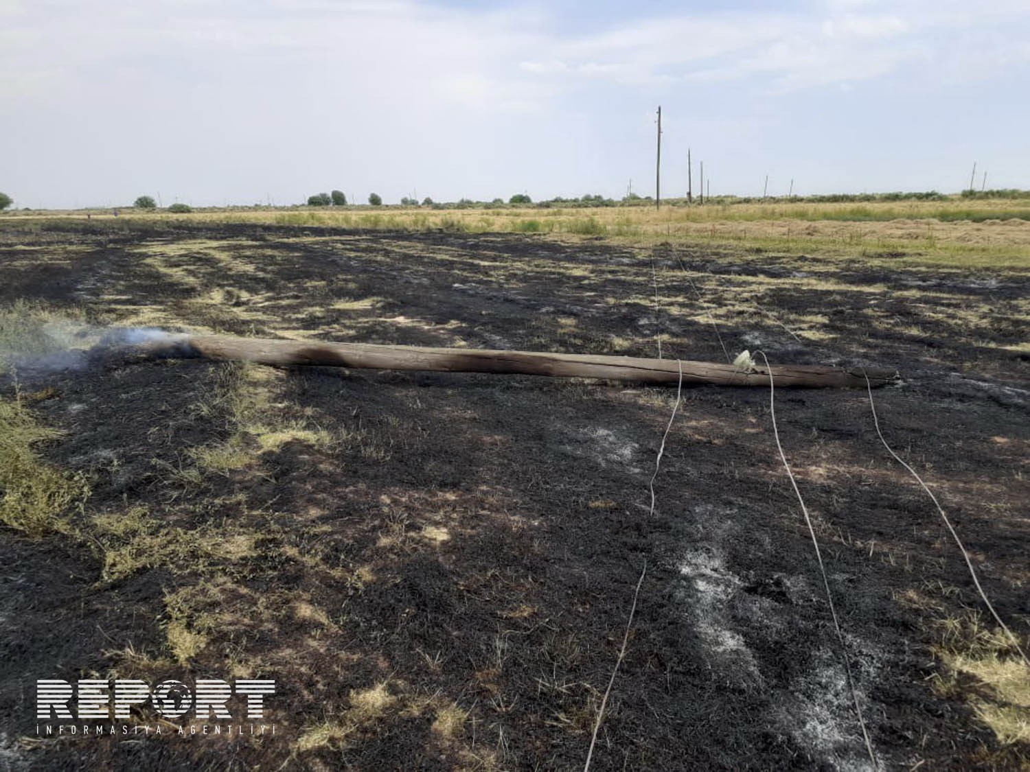 В Кюрдемире рухнул электрический столб, сгорело зерновое поле - ВИДЕО