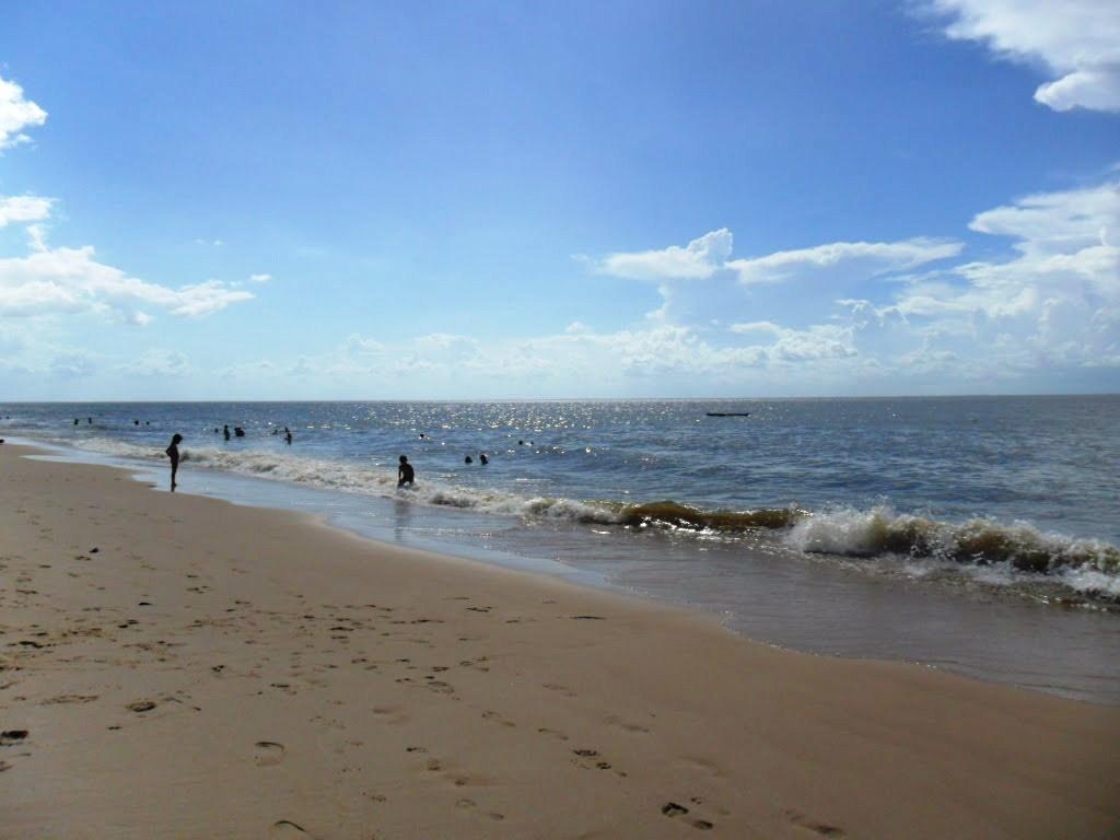 Экологи нашли виновных в загрязнении шиховских пляжей