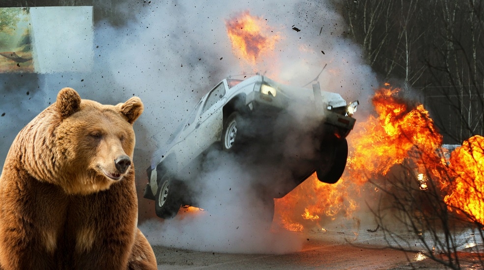 Медведь угнал автомобиль и устроил ДТП