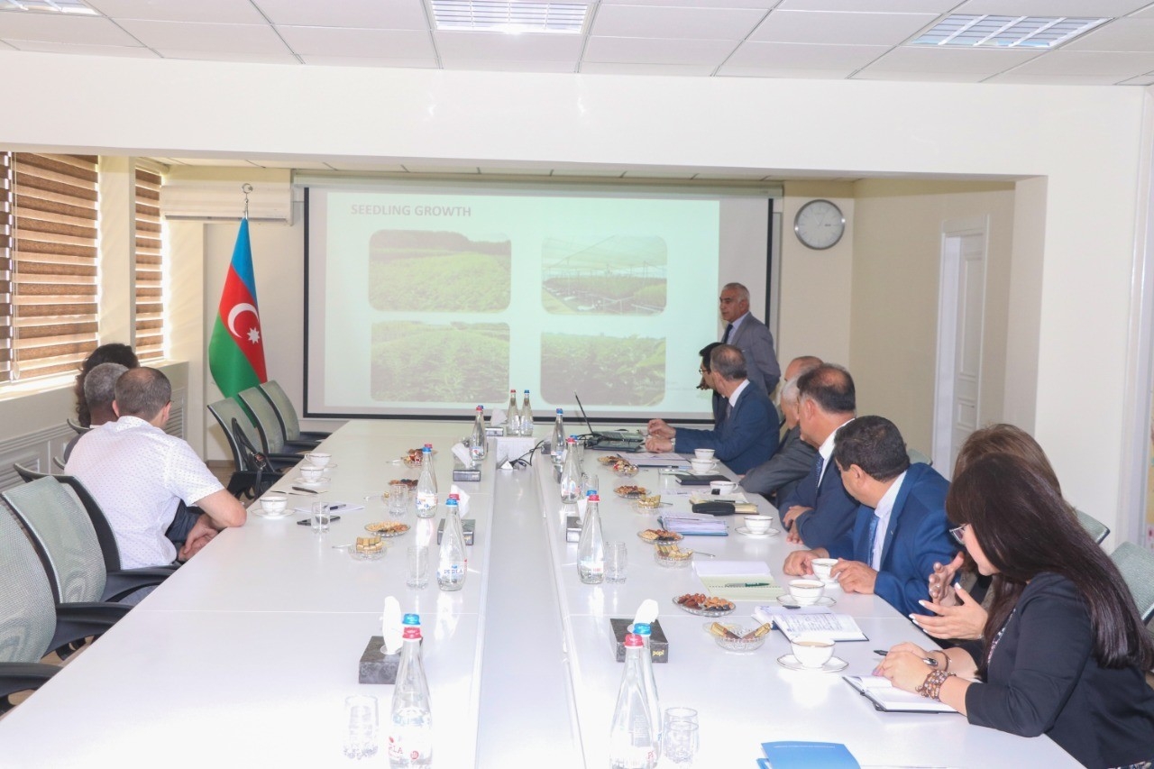 Официальный представитель ООН: В Азербайджане ощущается дефицит воды - ФОТО