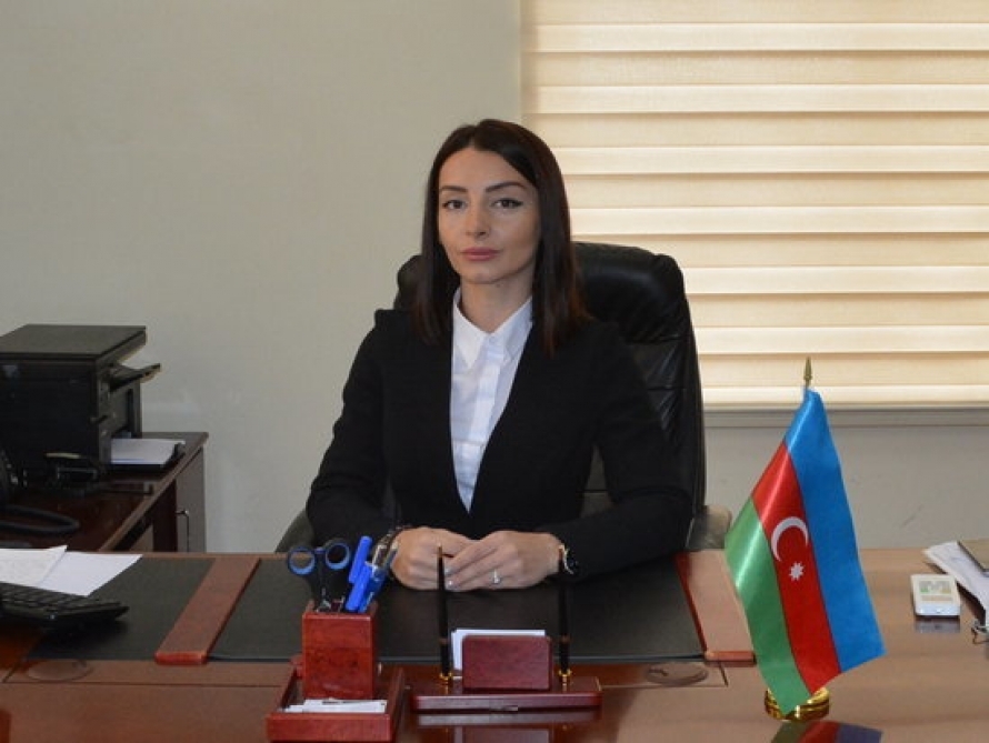 МИД Азербайджана отреагировал на заявление Мнацаканяна