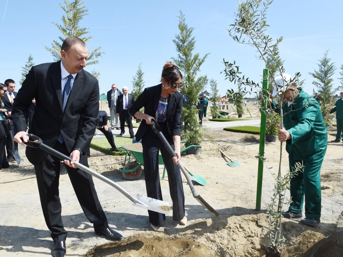 По инициативе Мехрибан Алиевой за один день будут посажены 650 тысяч деревьев