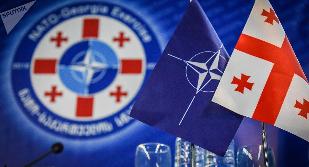 Грузии предложили вступить в НАТО "без Абхазии и Южной Осетии"