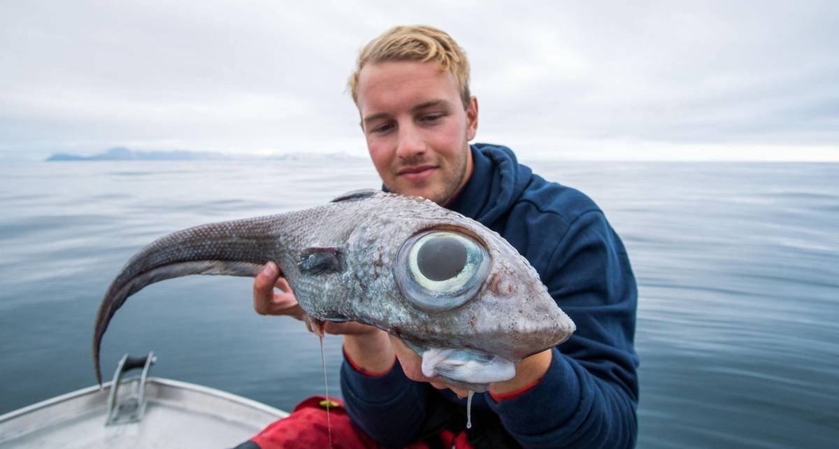 Рыбак не мог поверить своим глазам, когда выловил "пришельца" с глубины 800 м