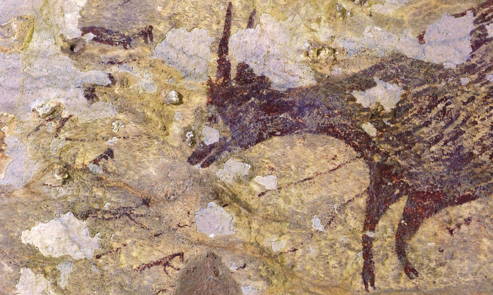 В пещере археологи нашли рисунки, которым около 44 тысяч лет - ВИДЕО