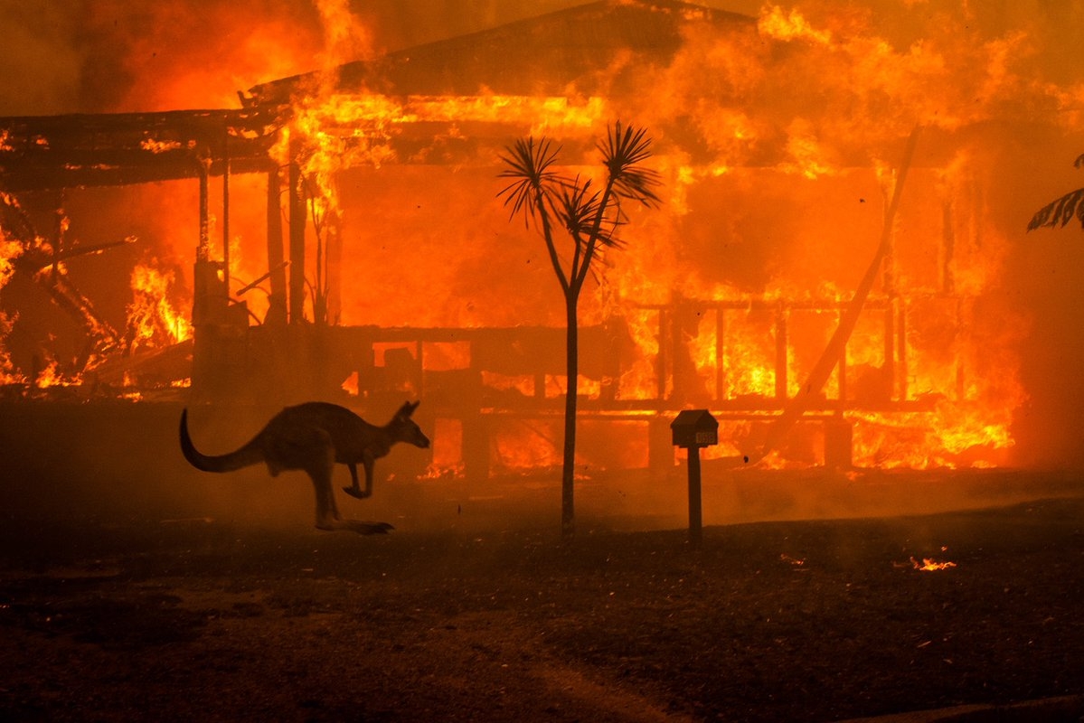 В огне австралийских пожаров увидели "лик дьявола" - ФОТО\ВИДЕО