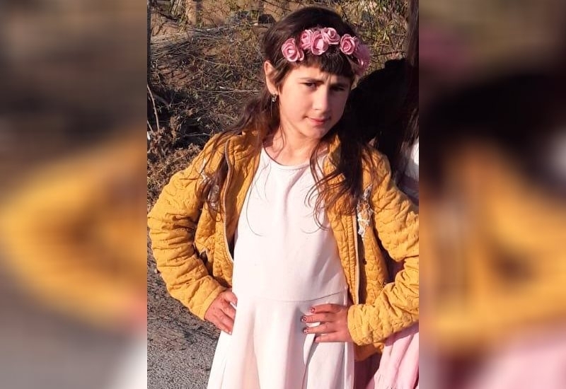 Совместное заявление МВД и Генпрокуратуры о зверском убийстве 10-летней Нармин