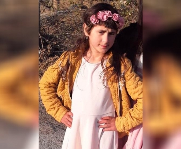 Генпрокуратура обратилась к СМИ в связи с убийством 10-летней Нармин
