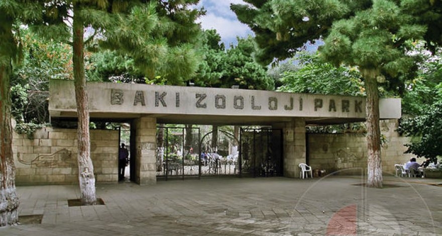 Зоопарк в баку