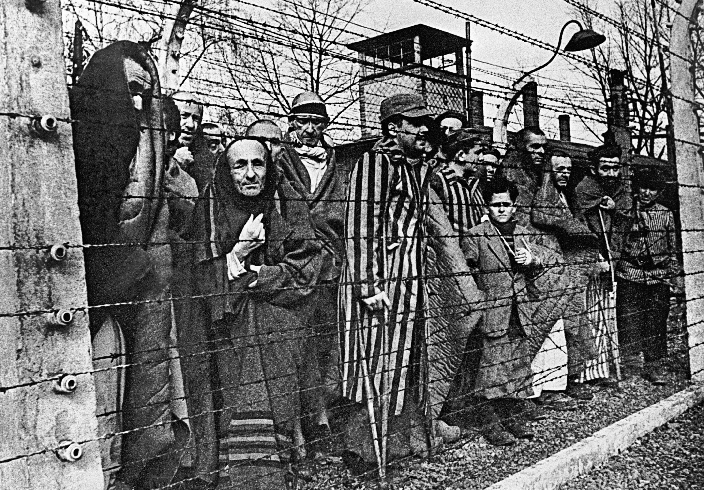 Премьер-министр Польши обвинил СССР в гибели евреев в Освенциме