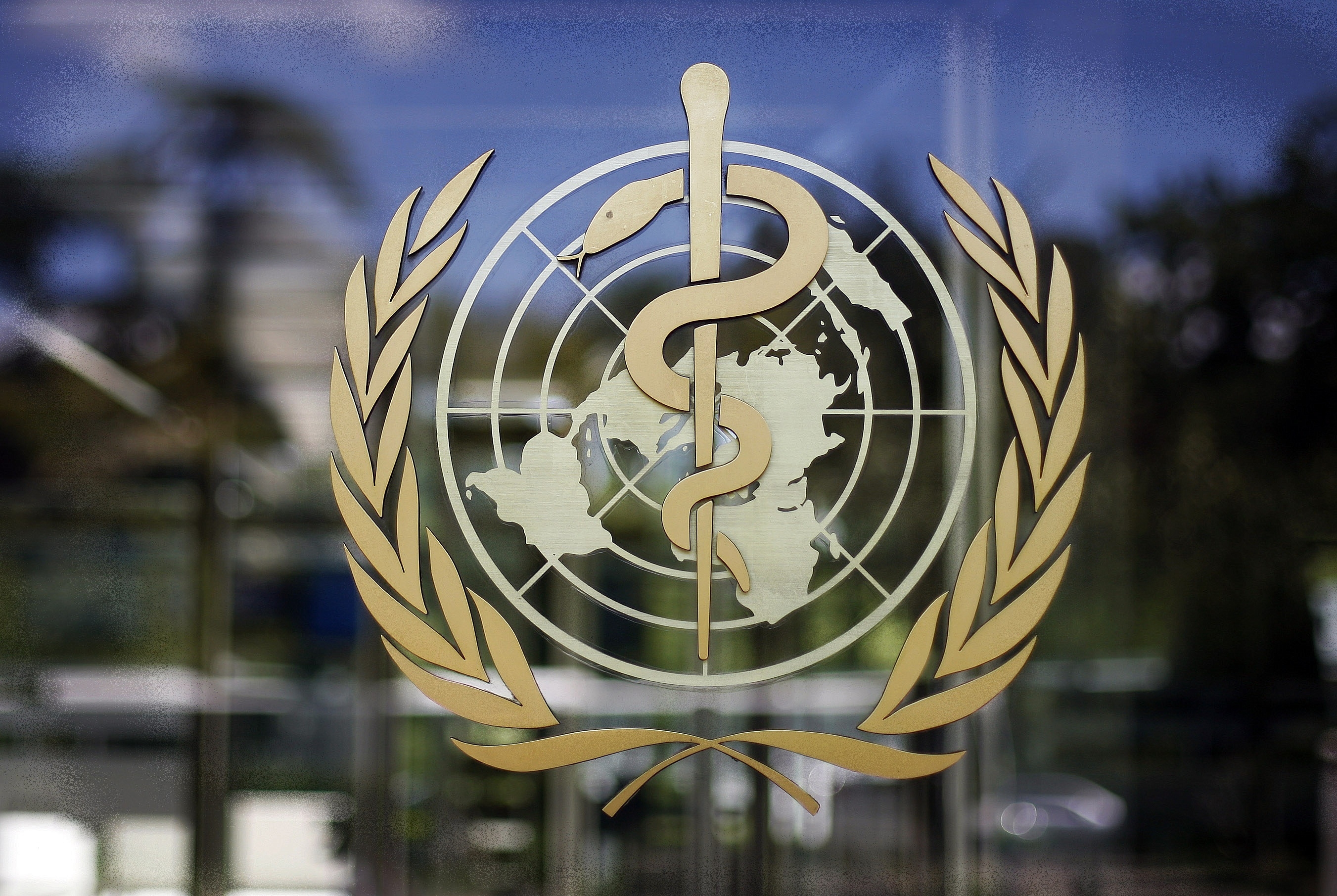 Китай обратился к ВОЗ из-за коронавируса