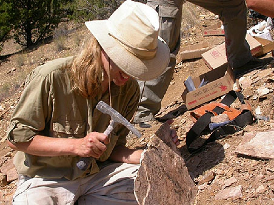 Открытие палеонтологов опровергло теорию происхождения динозавров