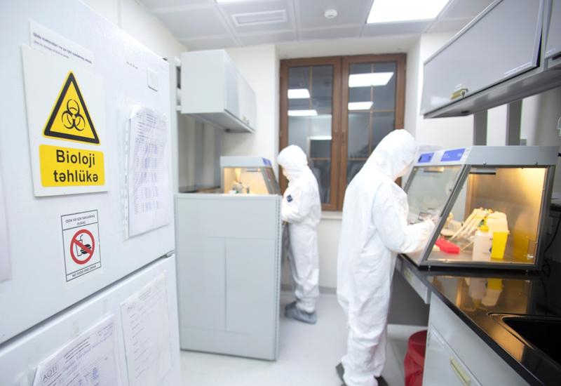 В Азербайджане развернули спецлаборатории по борьбе с коронавирусом - ФОТО