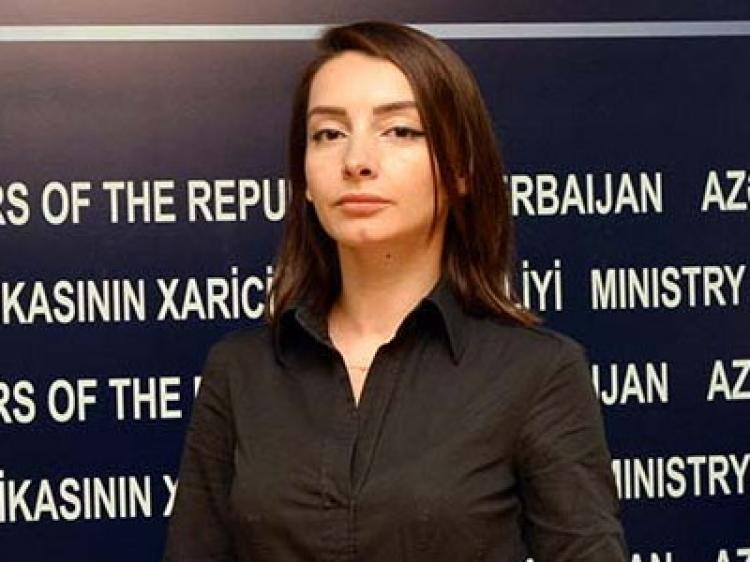 Лейла Абдуллаева: МИД Азербайджана собирает информацию о ситуации с коронавирусом за рубежом