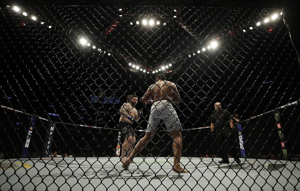 UFC намерен провести турнир на частном острове в мае