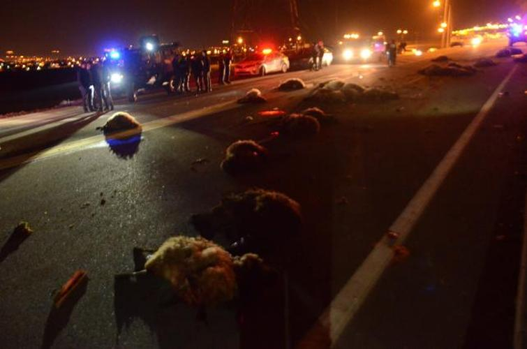 В Азербайджане Toyota влетела в стадо овец, убив 25 животных