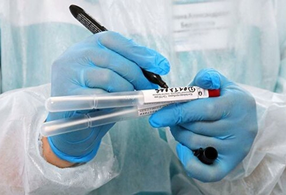 В России выявили 11656 случаев заражения коронавирусом за сутки
