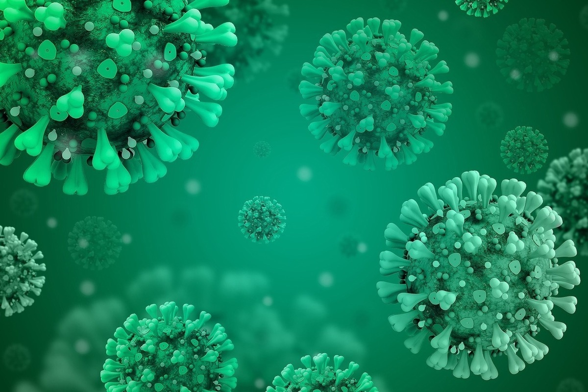 Получено доказательство естественного происхождения нового типа коронавируса
