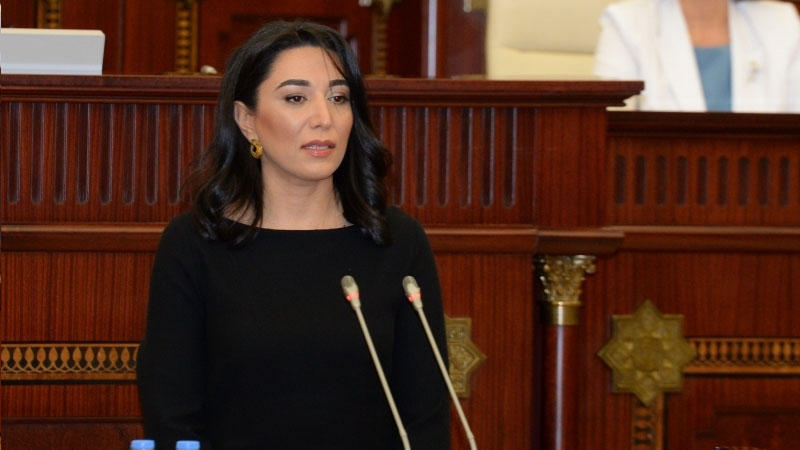 Азербайджанский омбудсмен прокомментировала предложение армянского коллеги о встрече