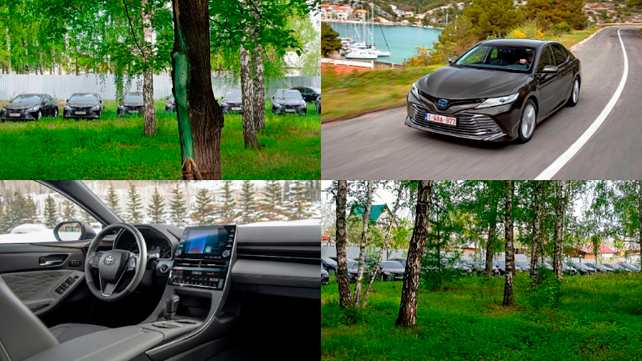 В лесу на Урале обнаружили десятки новых Toyota Camry - ВИДЕО