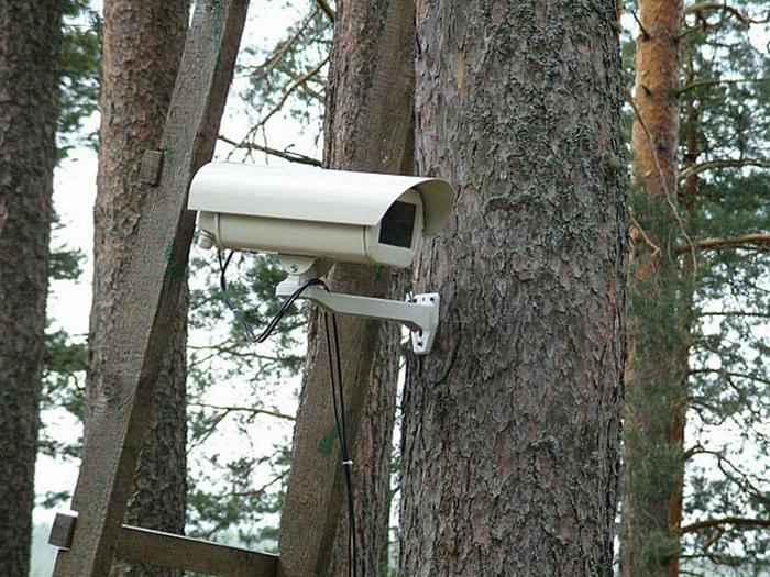 В лесах четырех районов Азербайджана установлены камеры наблюдения