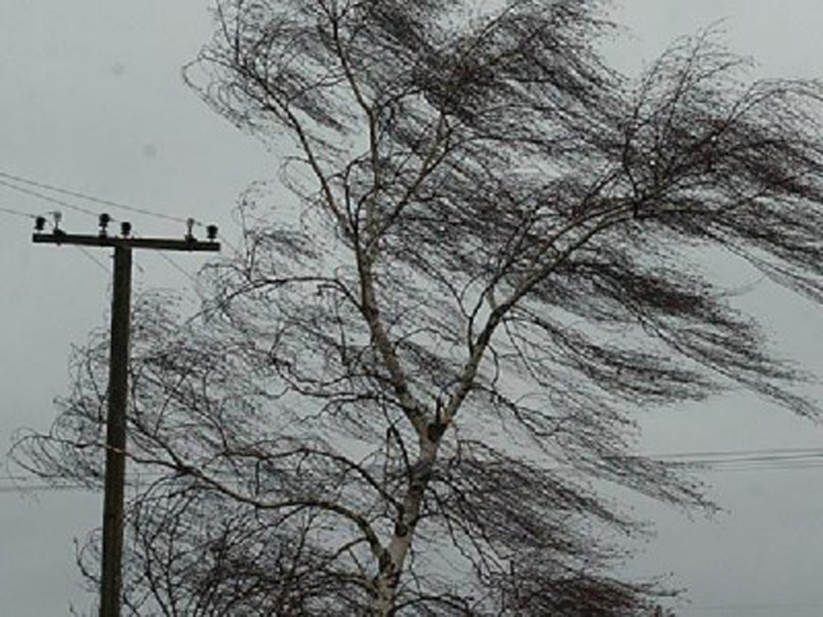 Скорость ветра в Баку достигла 20 м/с - ФАКТИЧЕСКАЯ ПОГОДА