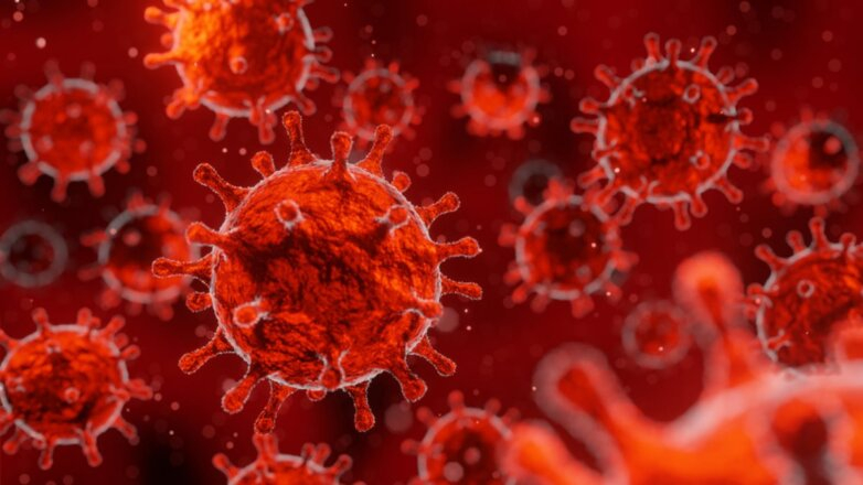 Ученые определили слабые места коронавируса