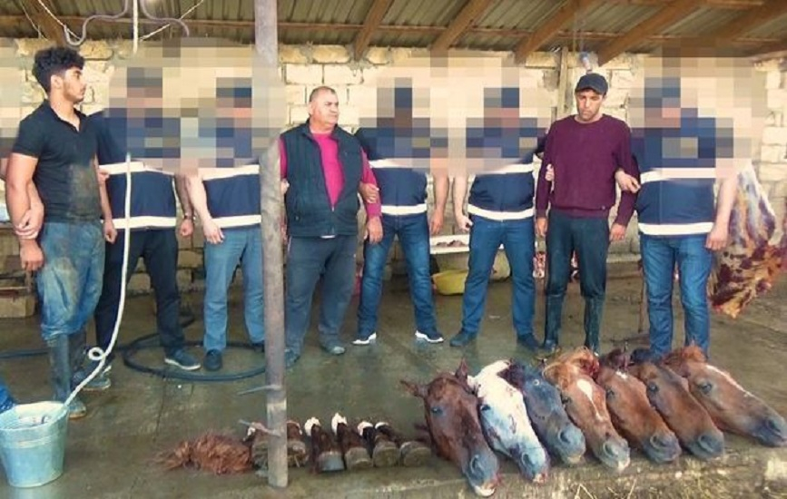 В Билясуваре задержаны члены группировки, продававшей мертвечину - ФОТО/ВИДЕО
