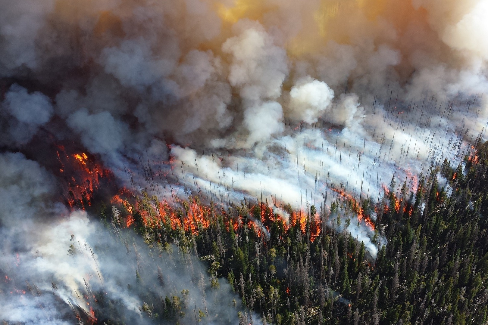 В России резко возросла площадь лесных пожаров