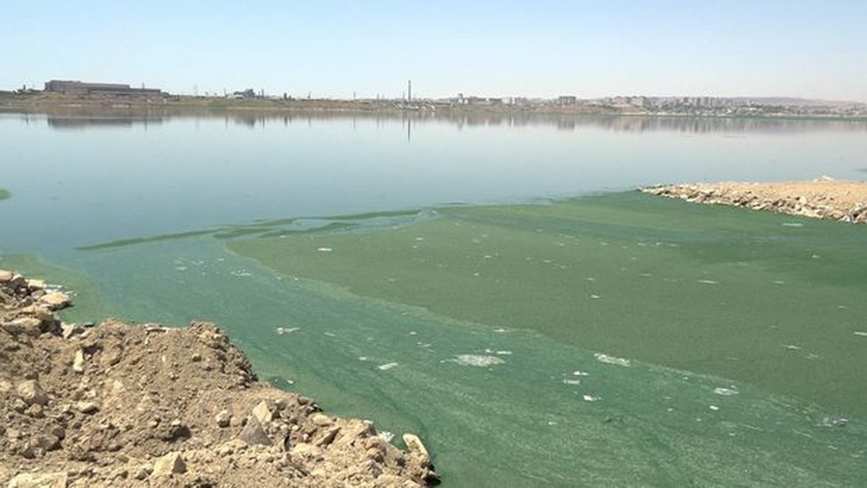 Ситуация на озере Беюкшор может привести к росту заболеваемости - ВИДЕО