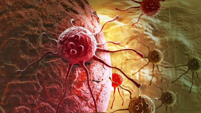 Ученые обнаружили сбои в иммунитете после коронавируса