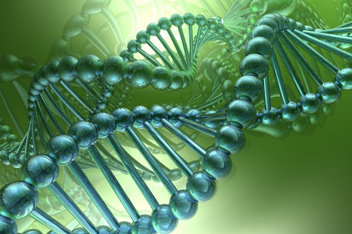 Ученые раскрыли секрет генетического бессмертия