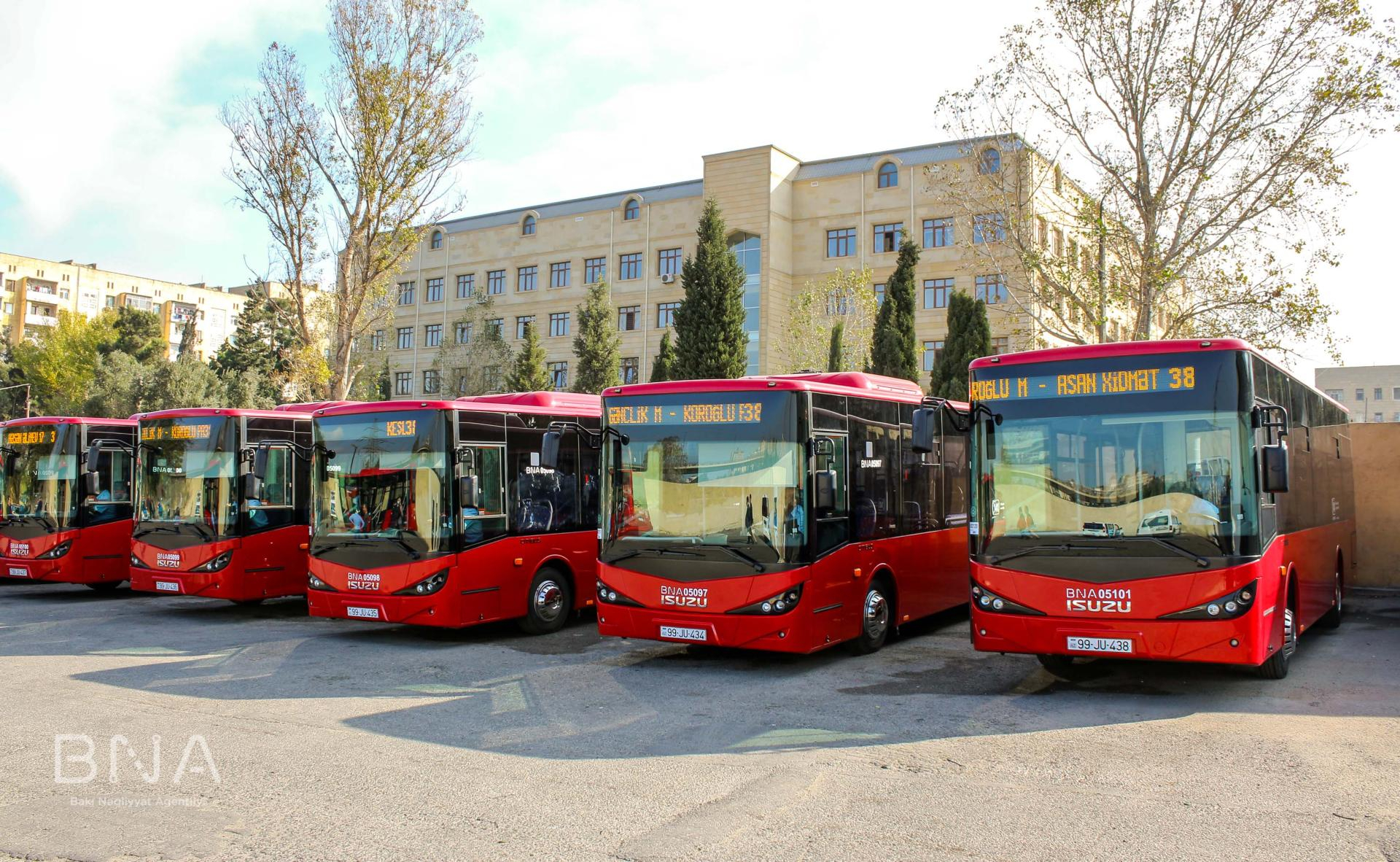 BNA запустило на линию рекордное число автобусов