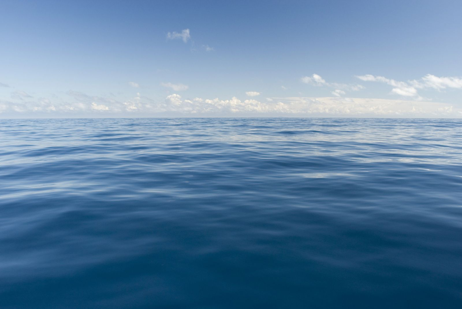 Ученые предупредили о критическом росте уровня Мирового океана
