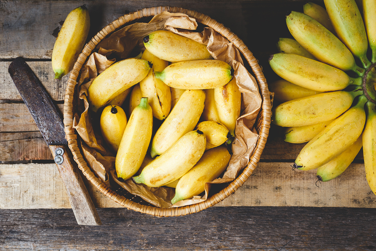 В Африке научились получать энергию из бананов