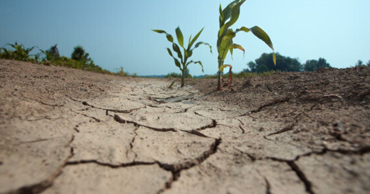 Предсказана глобальная катастрофическая засуха