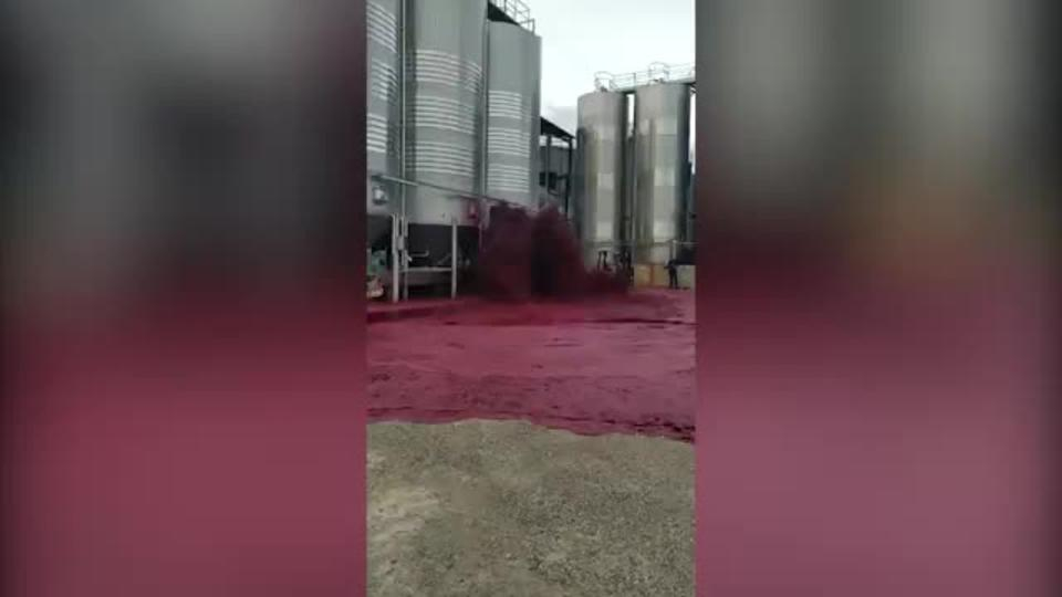 Реки вина затопили завод в Испании - ВИДЕО