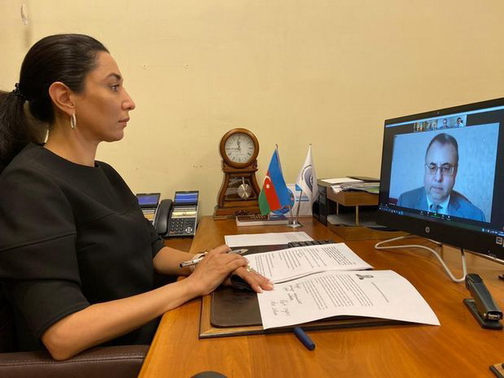 Омбудсмен провела встречу с Владимиром Школьниковым в формате видеоконференции