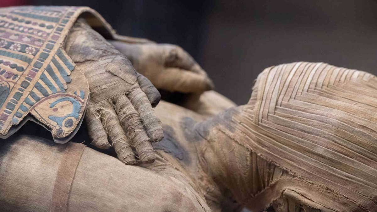 Египетская мумия возрастом 4500 лет "грозит" полностью переписать историю