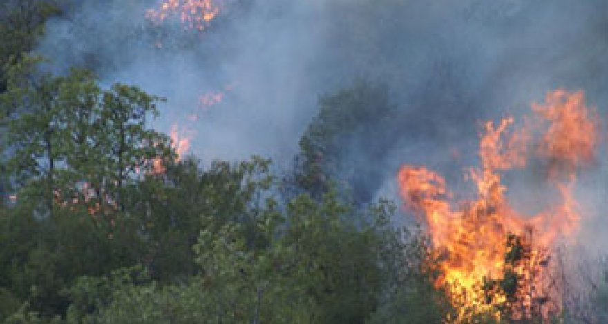Обстрелы ВС Армении вызвали пожары в лесах и гражданских объектах в Азербайджане – ФОТО