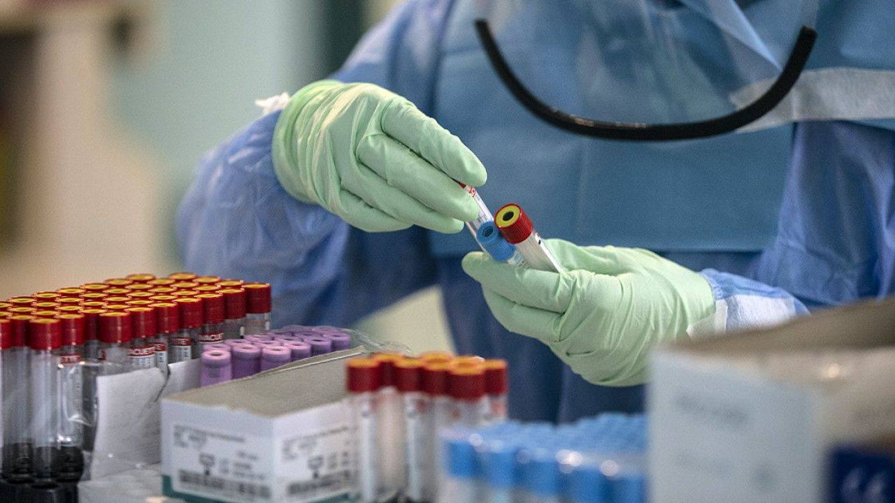Обнародовано число заразившихся коронавирусом в Азербайджане - ФОТО