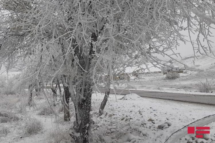 В Шамахы выпал снег, на дорогах ожидается гололедица - ФОТО
