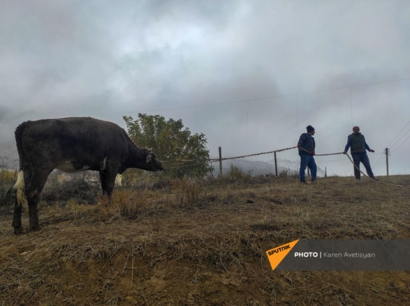 Покинувшие Агдам армяне сожгли дома и убили домашний скот - ФОТО